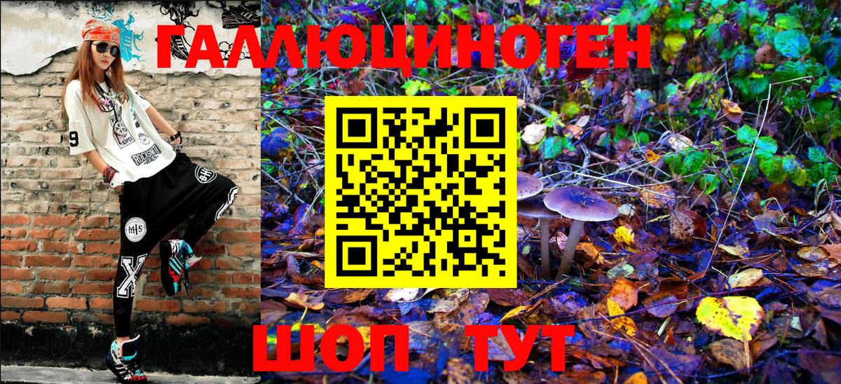 Галлюциногенные грибы Psilocybe Полевской